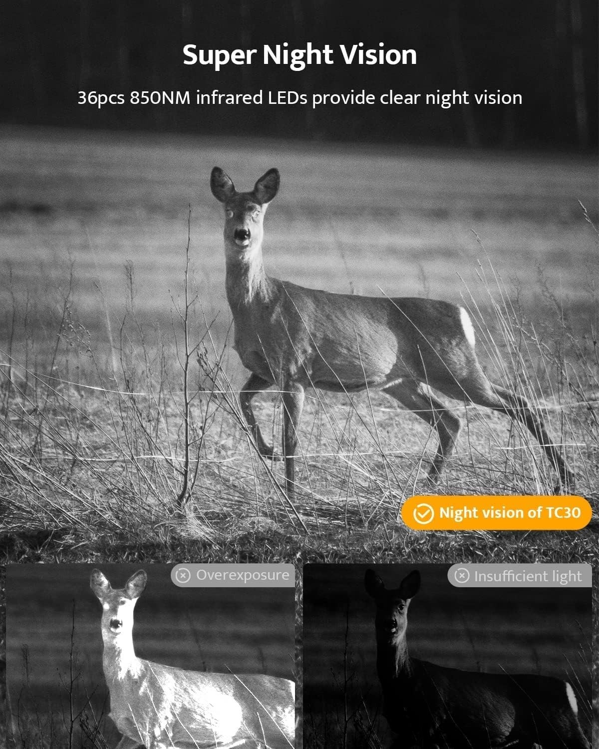 Camara De Caza Digital Infraroja Para La Noche Grabar Animales Vida Salvaje NEW