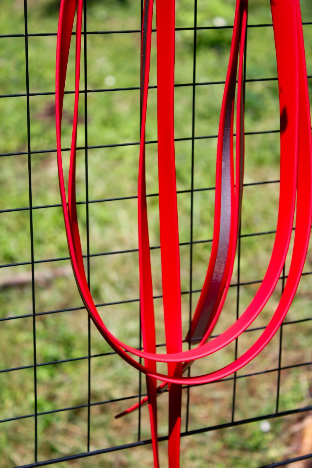 Biothane Split Reins - Red