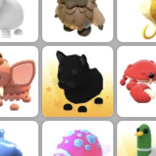 Adopt Me Black Panther- Rare Jungle Pet  (ONLY 1 AVAILABLE)
