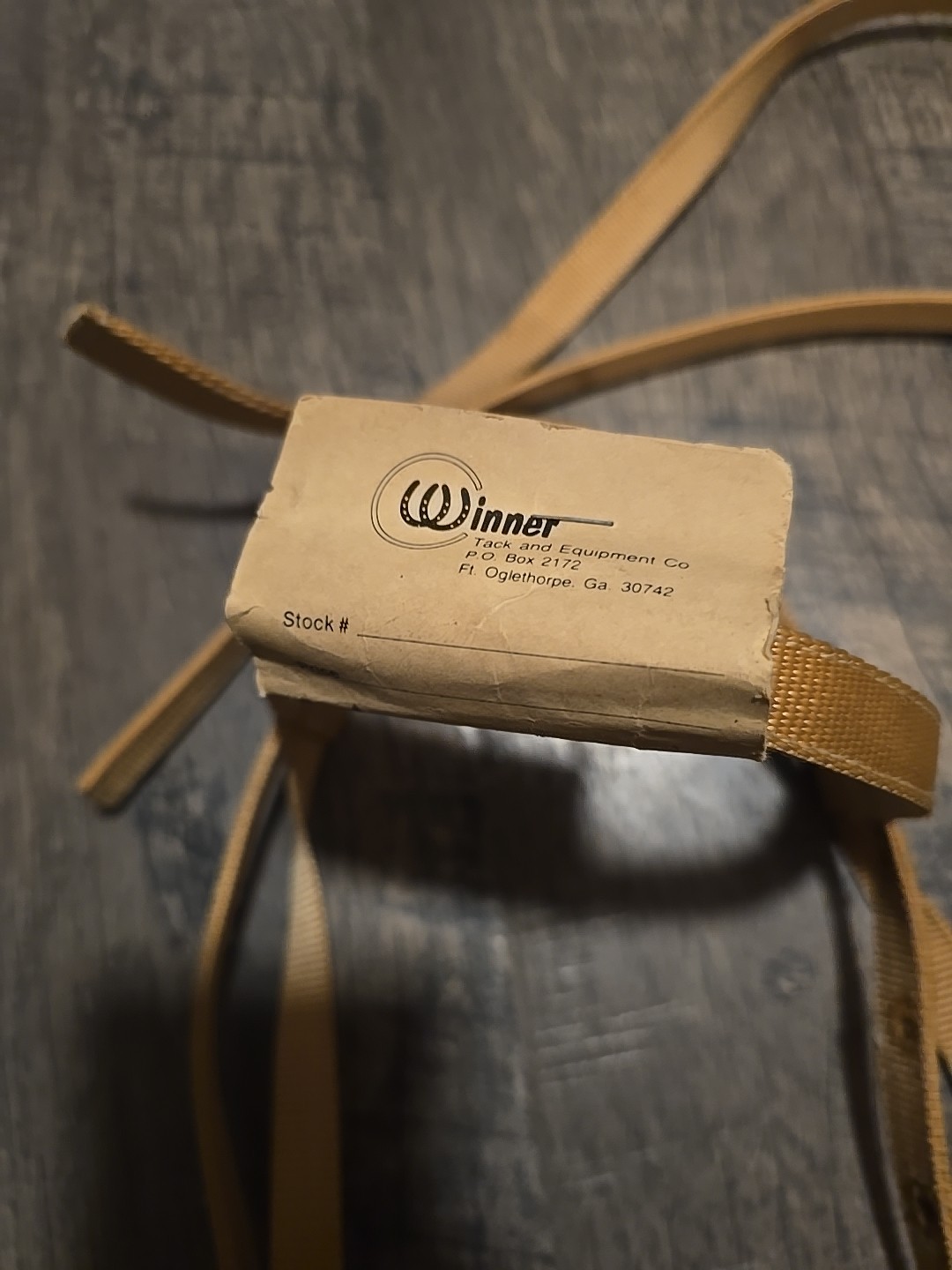 western bridle