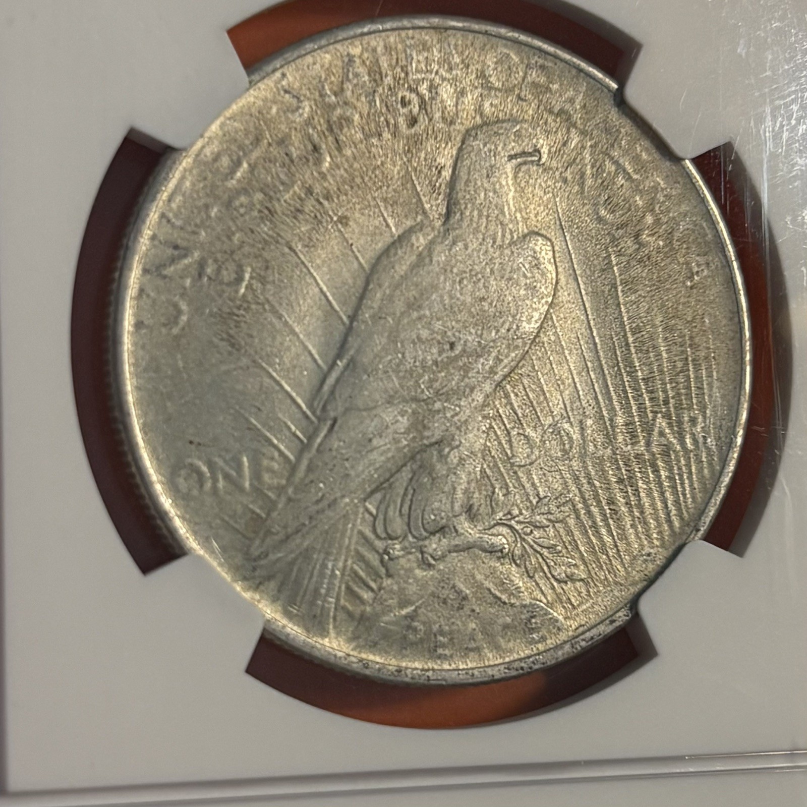 1924 Peace Silver Dollar NGC MS 65, Toned