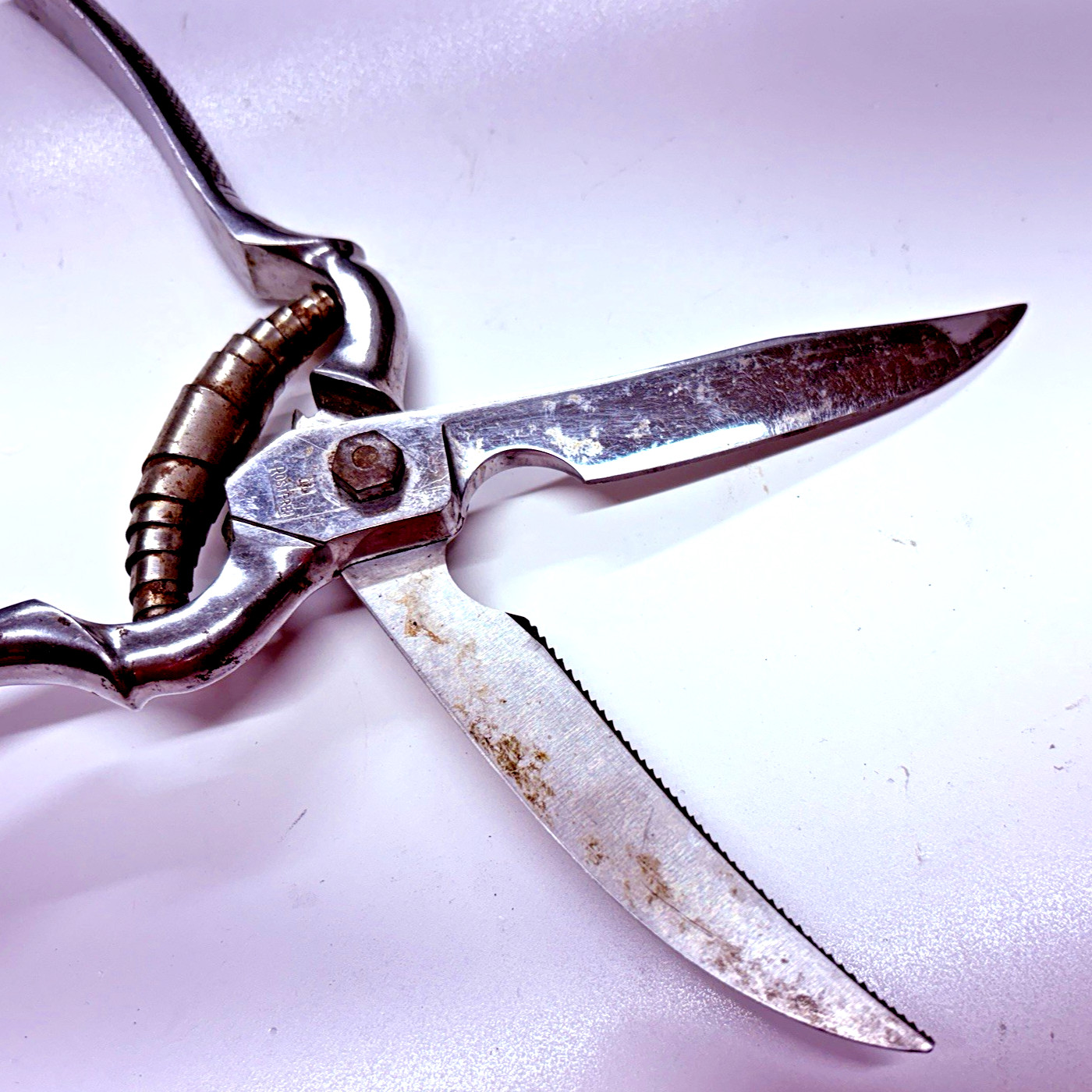 VTG Poultry Shears Stainless Maker Recosa Solingen 9.5"L Sharp-Well Used-Locking