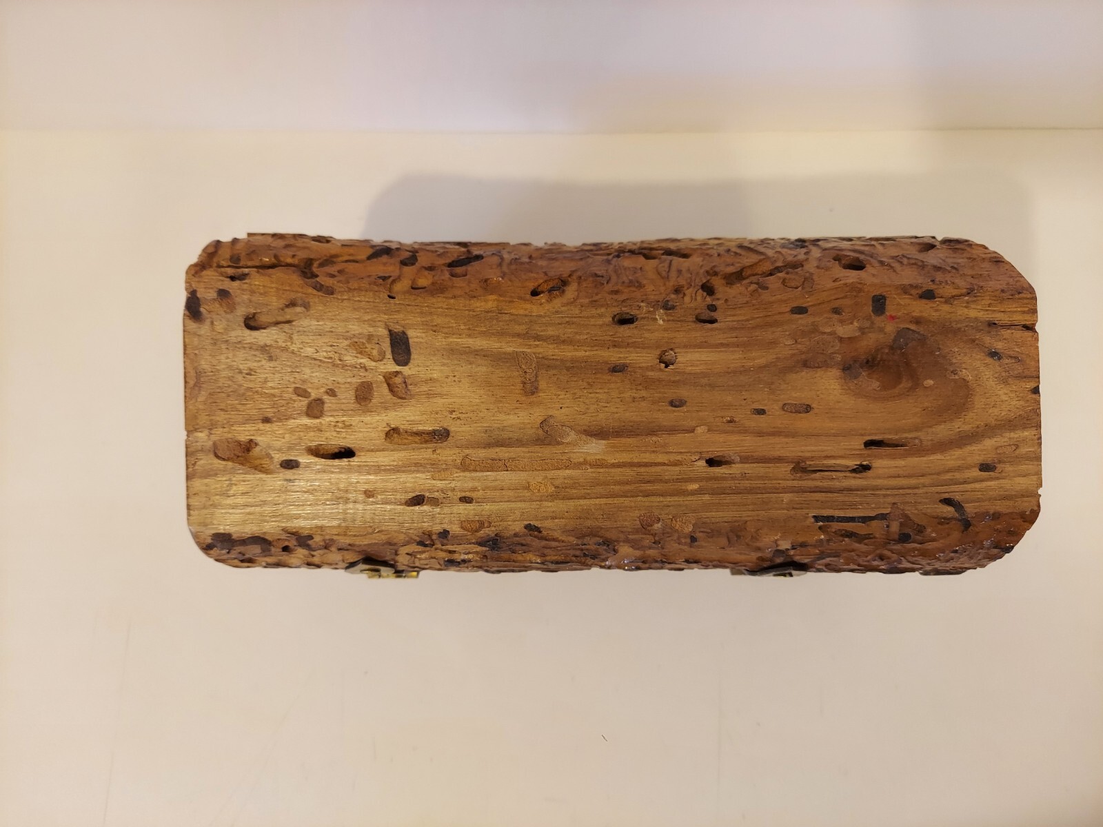 Unique Handmade Wormwood Trinket Box Hinged Lid