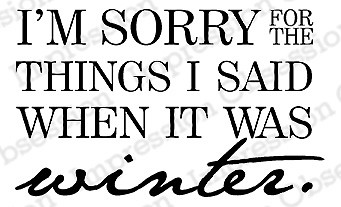 When it Was Winter, Wood Mounted Rubber Stamp IMPRESSION OBSESSION - D14715