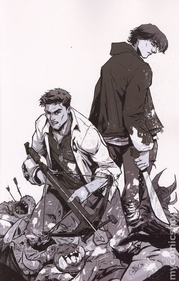Supernatural #9L NM 2026 Stock Image