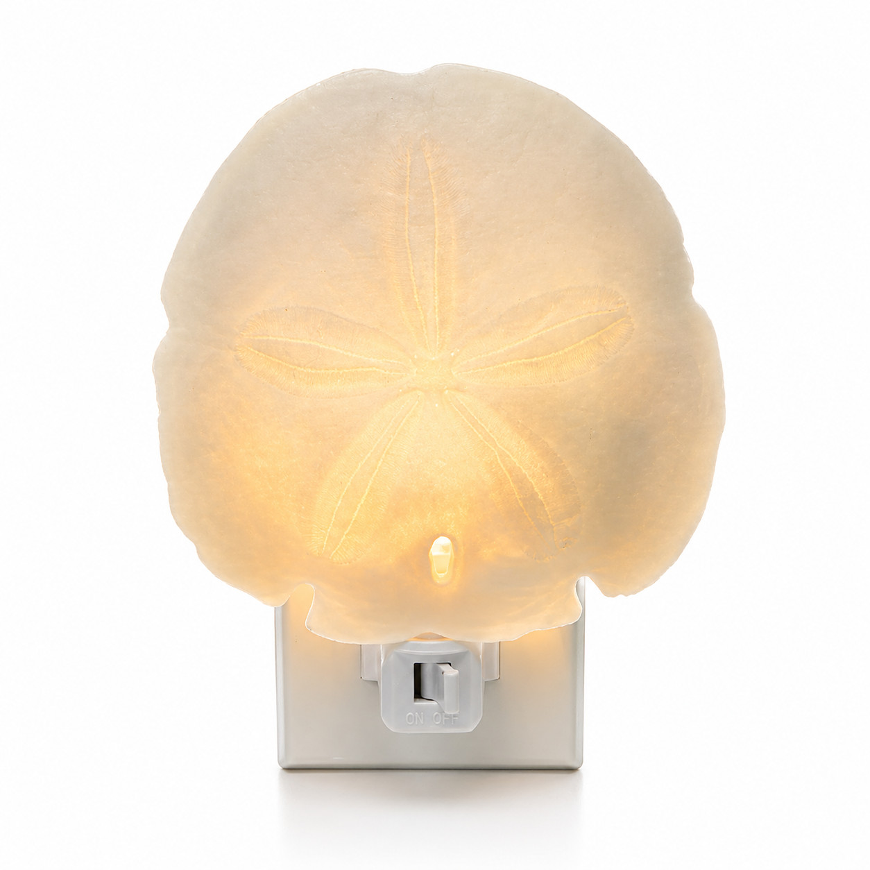 Sand Dollar Shell Nightlight Hallway Bathroom Kitchen Nursery Beach Home Decor