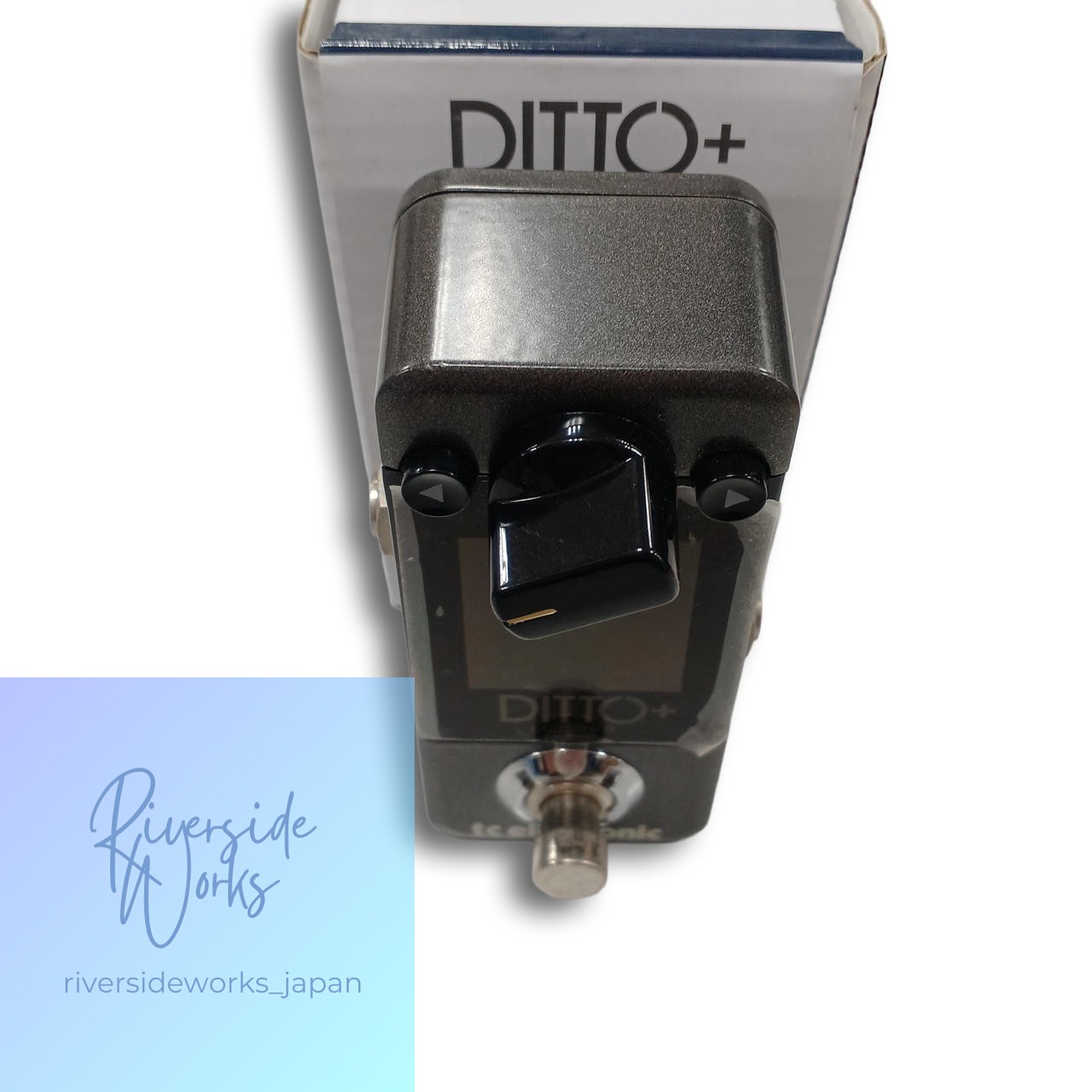 TC ELECTRONIC DITTO+ Looper Pedal with Box