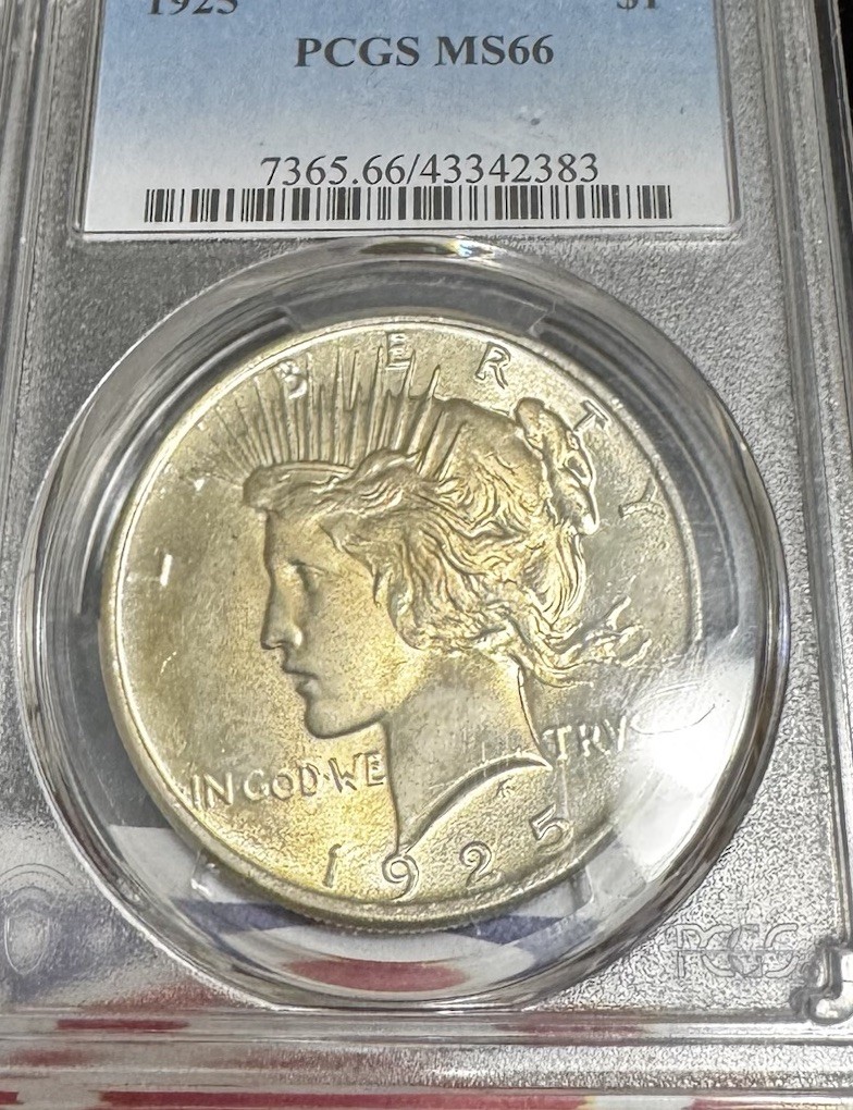 1925 Philadelphia Peace Silver Dollar PCGS MS 66 Beautiful Coin