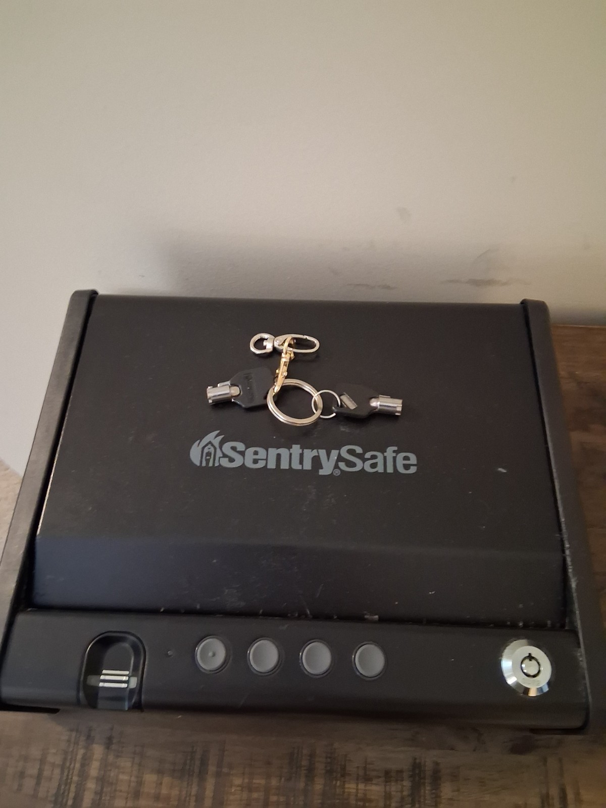 SentrySafe Portable Pistol Safe