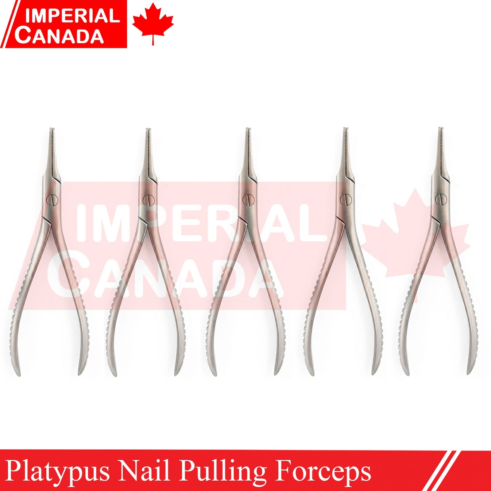 Platypus Podiatrist Nail Forceps Standard Jaws Stainless Steel Podiatry DN-2702