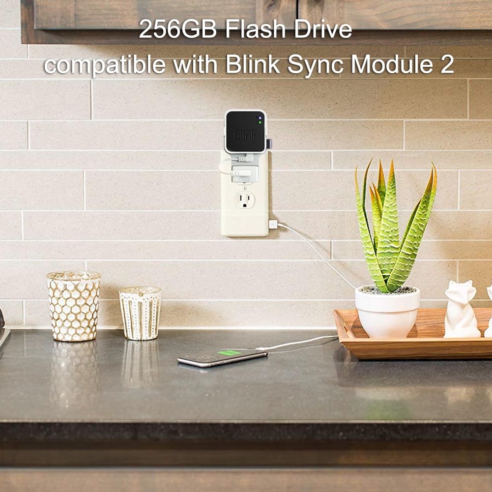 256GB USB Flash Drive with Wall Mount for Blink Security System - Space-Saving