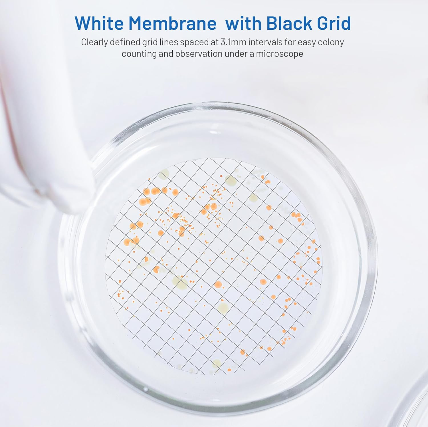MCE Membrane Filter, Sterile, 47Mm, 0.45Μm, Hydrophilic, Individually Wrapped, B