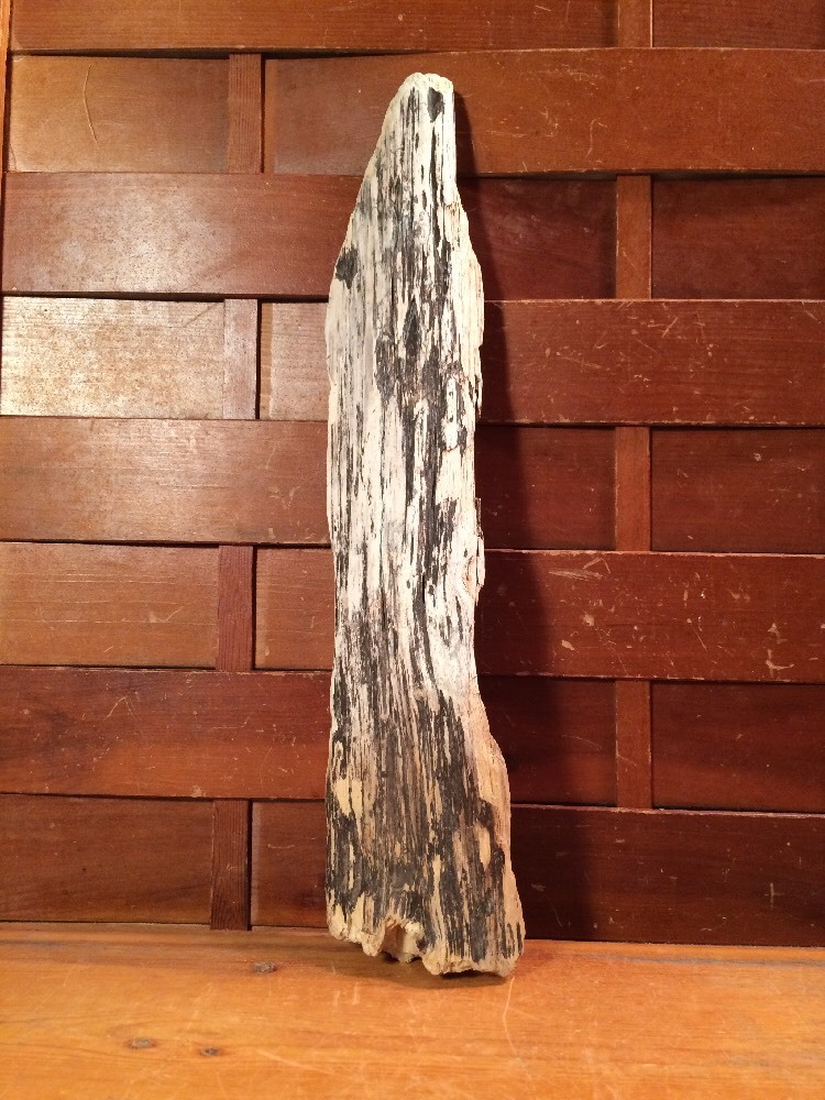 Beautiful 13" DRIFTWOOD Piece Art Terrarium Taxidermy Aquarium Beach Wood DECOR