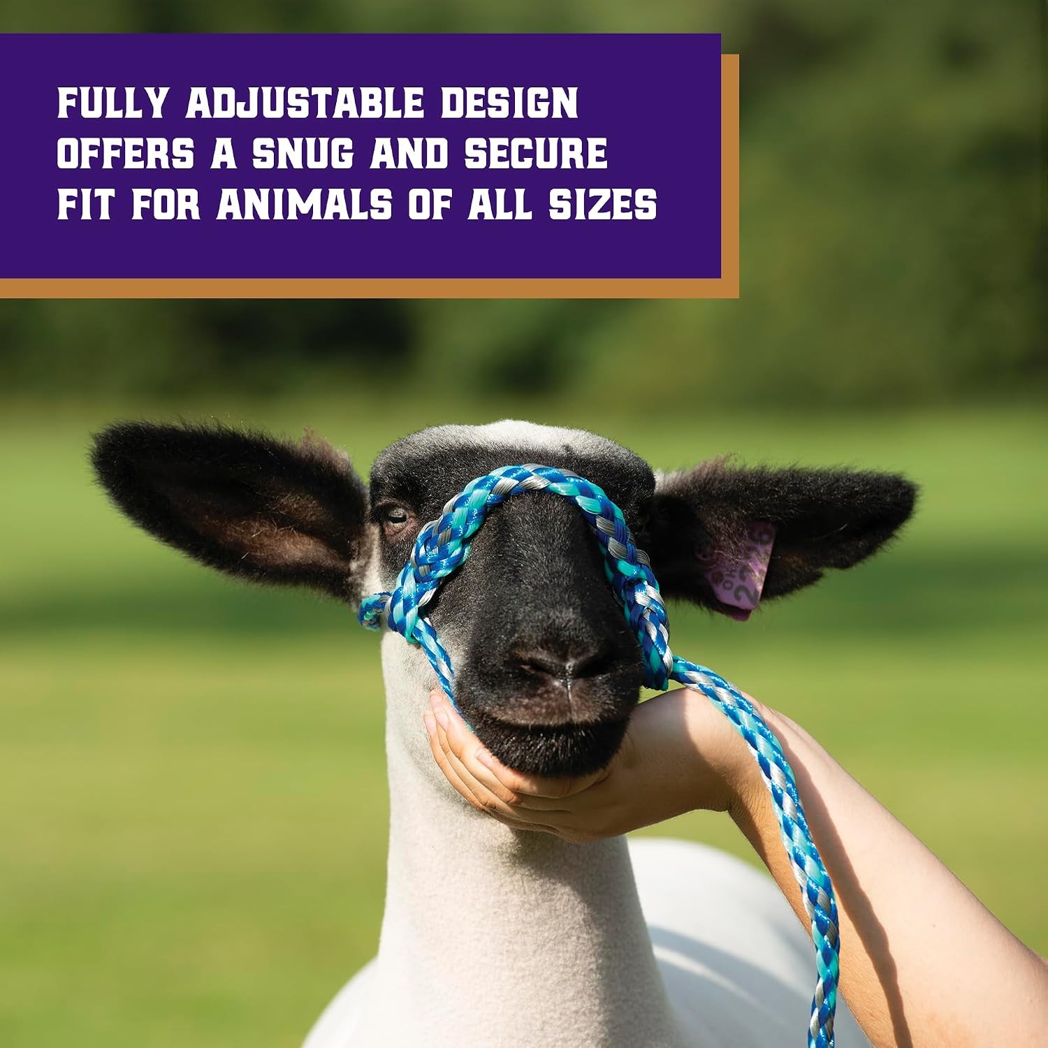 Weaver 4ft Poly Rope Halter Braided Adjustable Sheep Goat