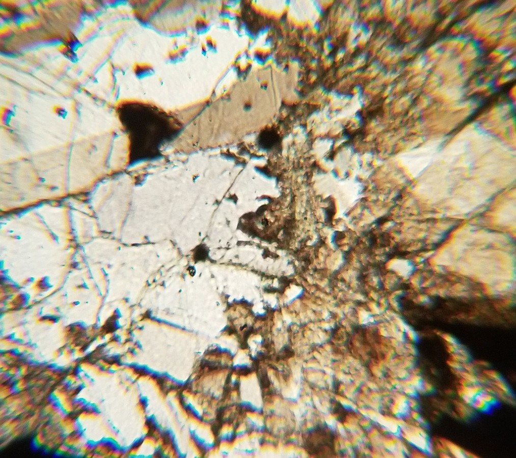 Thin-section Mount from DSDP Hole 417A Petrographic Microscope Slide 417A-29-4