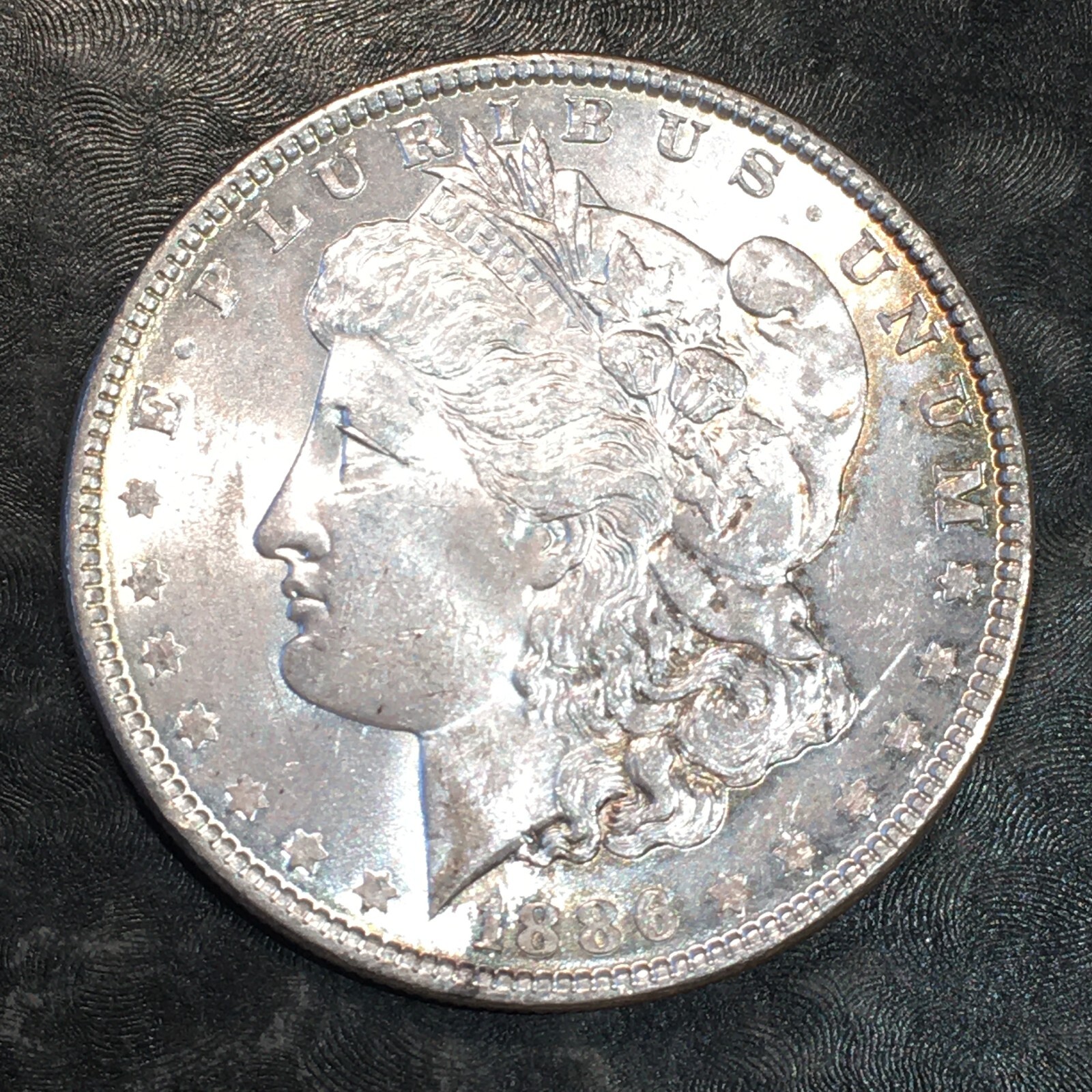 1886 Morgan Silver Dollar - High Quality Scans #P264
