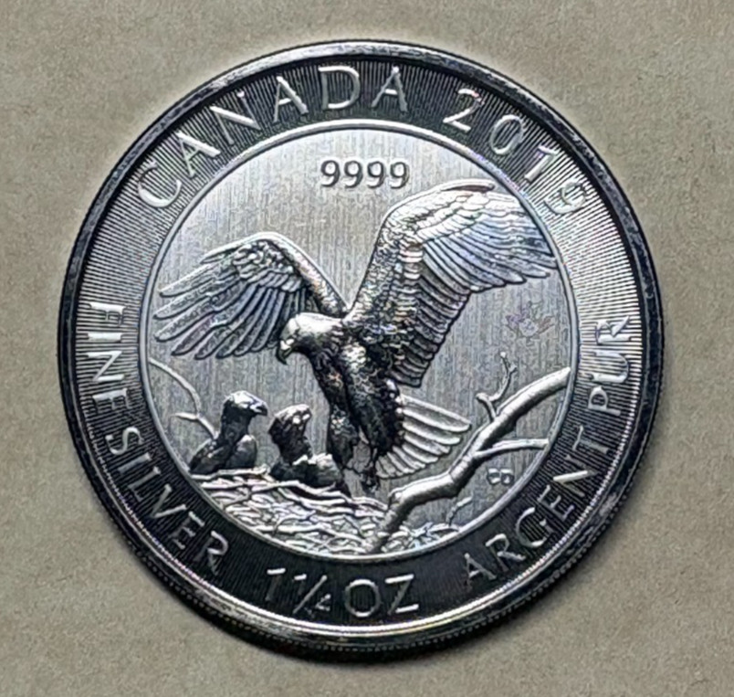 2019 Canada $8 1.25 oz Wildlife Series Bald Eagle FREE SHIPPING!