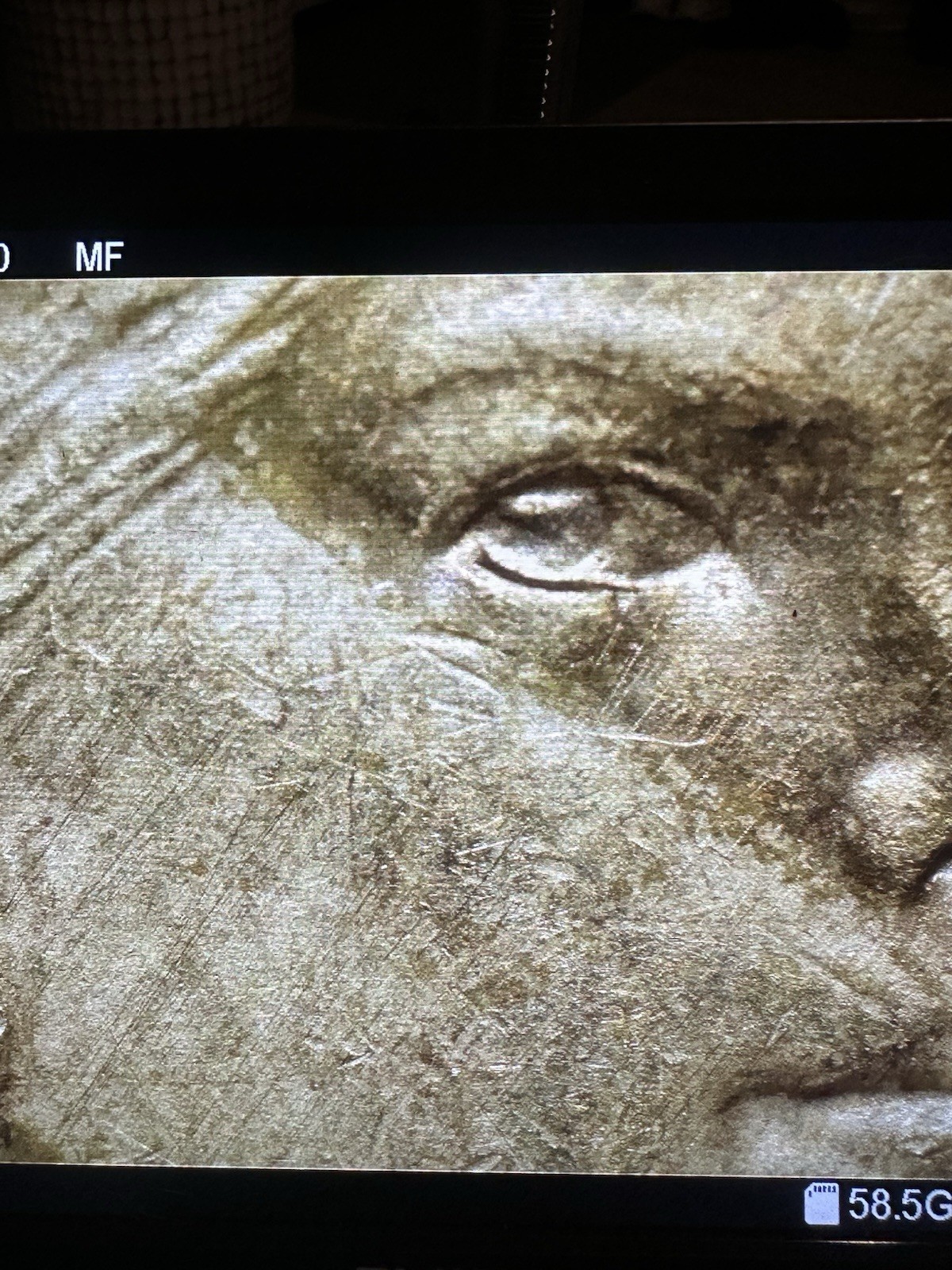 Rare 2000 P Sacagawea One Dollar Coin Lamination Error
