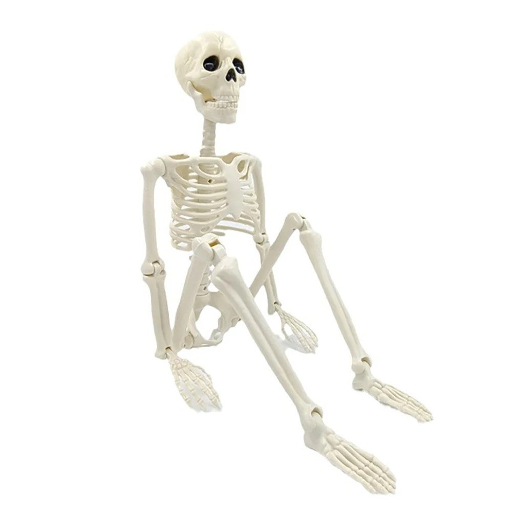 Halloween Poseable Skeleton Decoration Life Size Human Skull Bones Prop