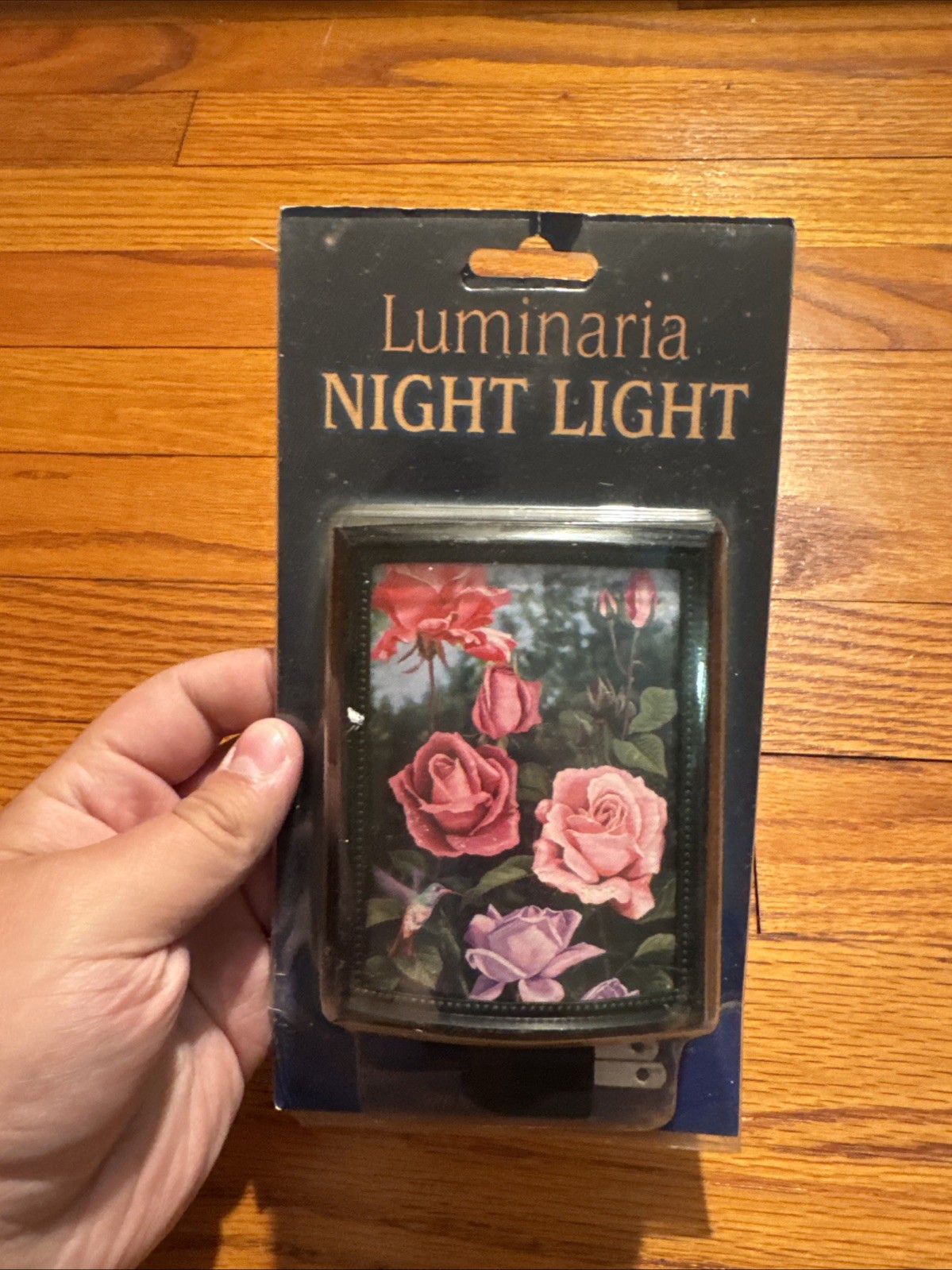 Vintage Luminaria Night Light Roses 2001 Salamander Graphix