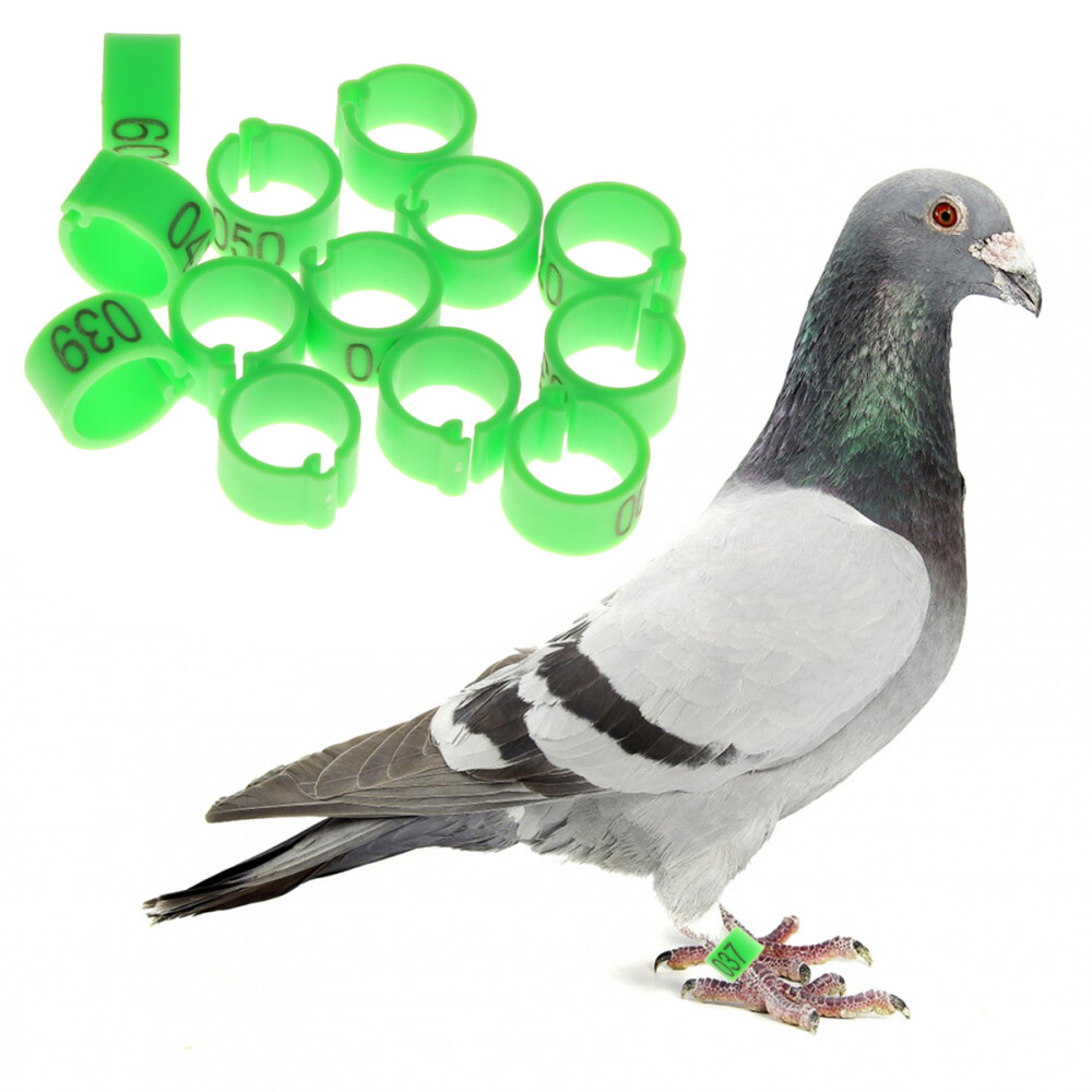 100 Pcs Birds Foot Rings Parrot Clip Rings Numbered Chicken Leg Bands 8mm
