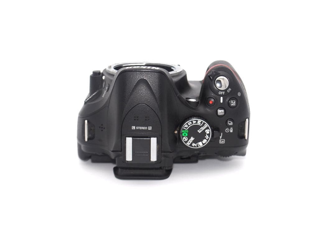 Convenient For Carrying Around: Nikon D5200 Body