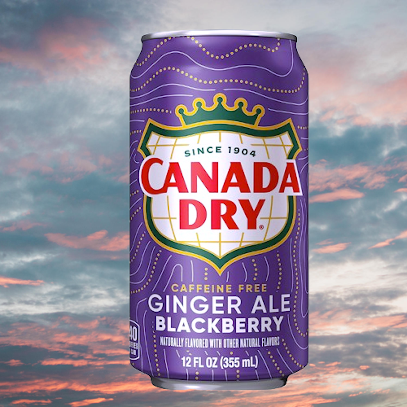 Canada Dry Limited Edition🍇Blackberry Ginger Ale 12oz.can