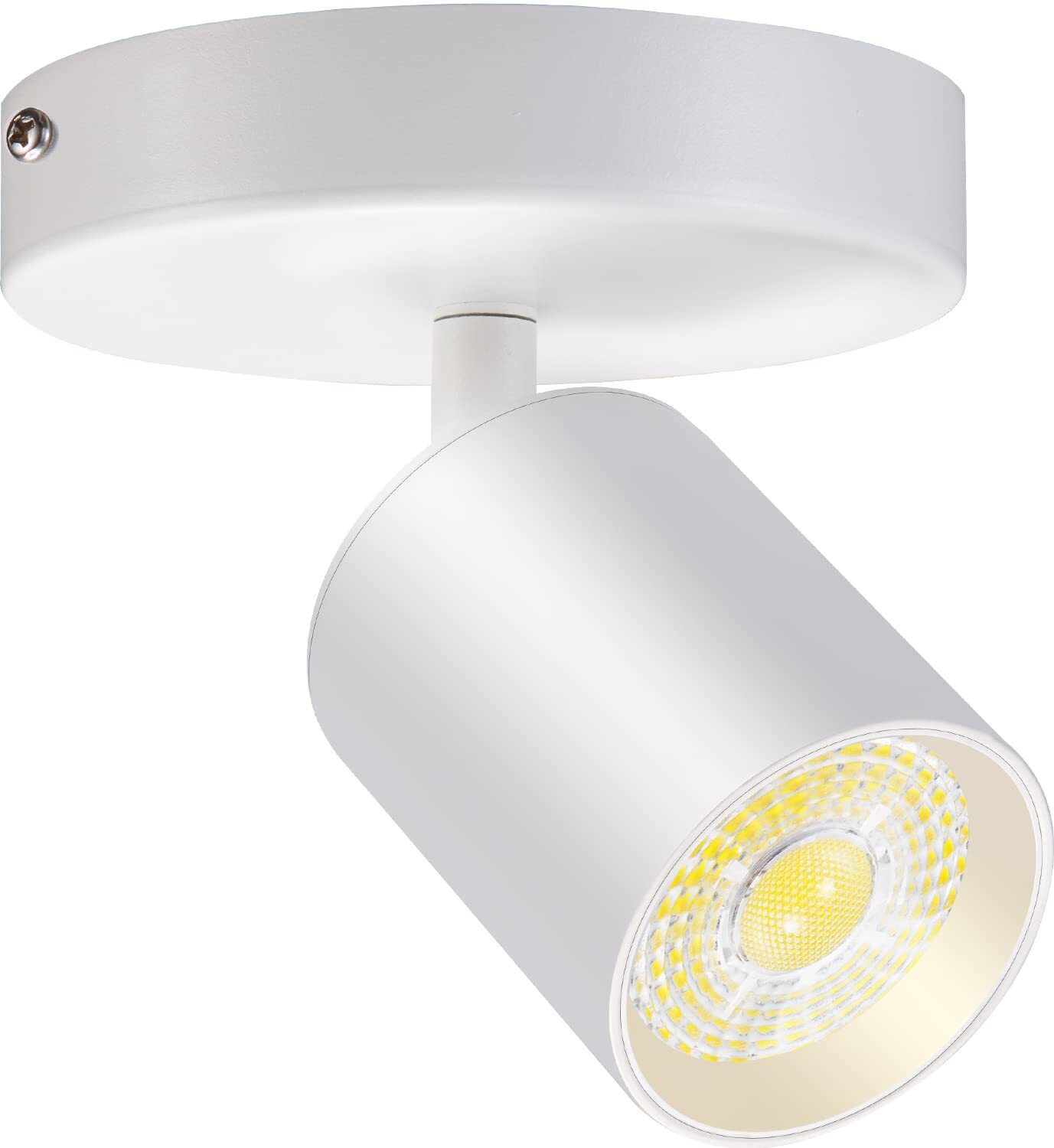 Flush Mount Led Ceiling Spotlight Dimmable Adjustable Spotlight Directional Spot