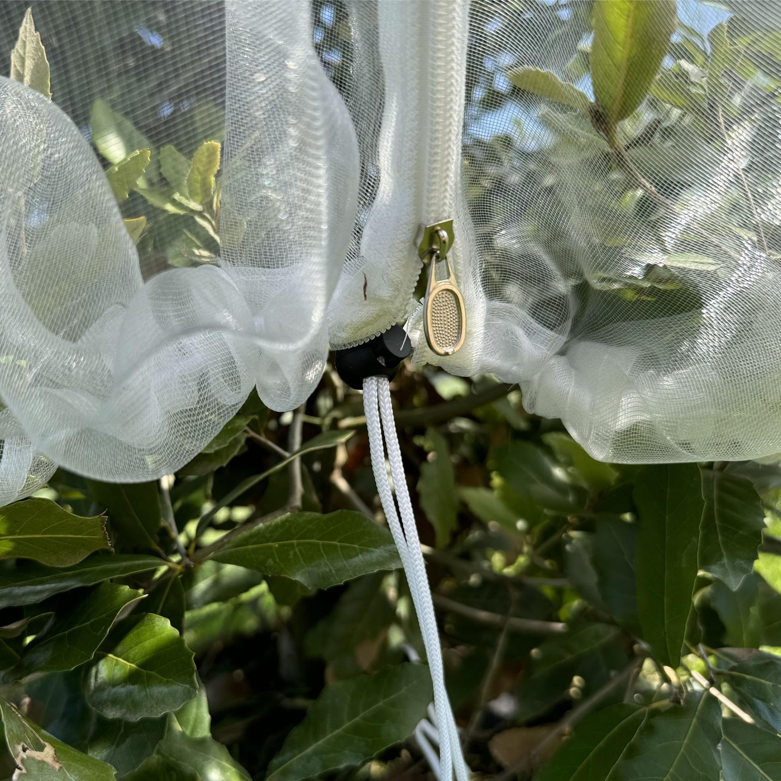 Fruit Tree Protection Bags 8.5x8.5 FT | Multiple Size 8.5 x FT, White