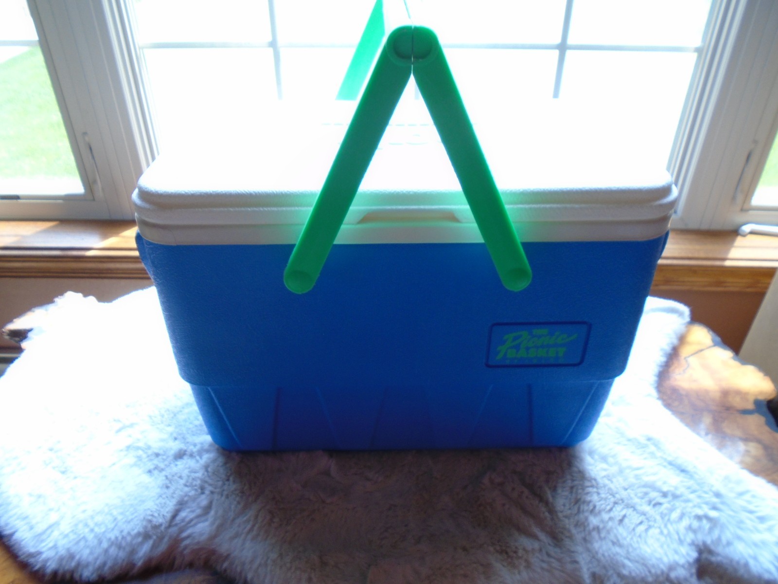 Vintage 1992 Igloo 25qt Picnic Basket Cooler Blue/White/Green Very  Clean NICE