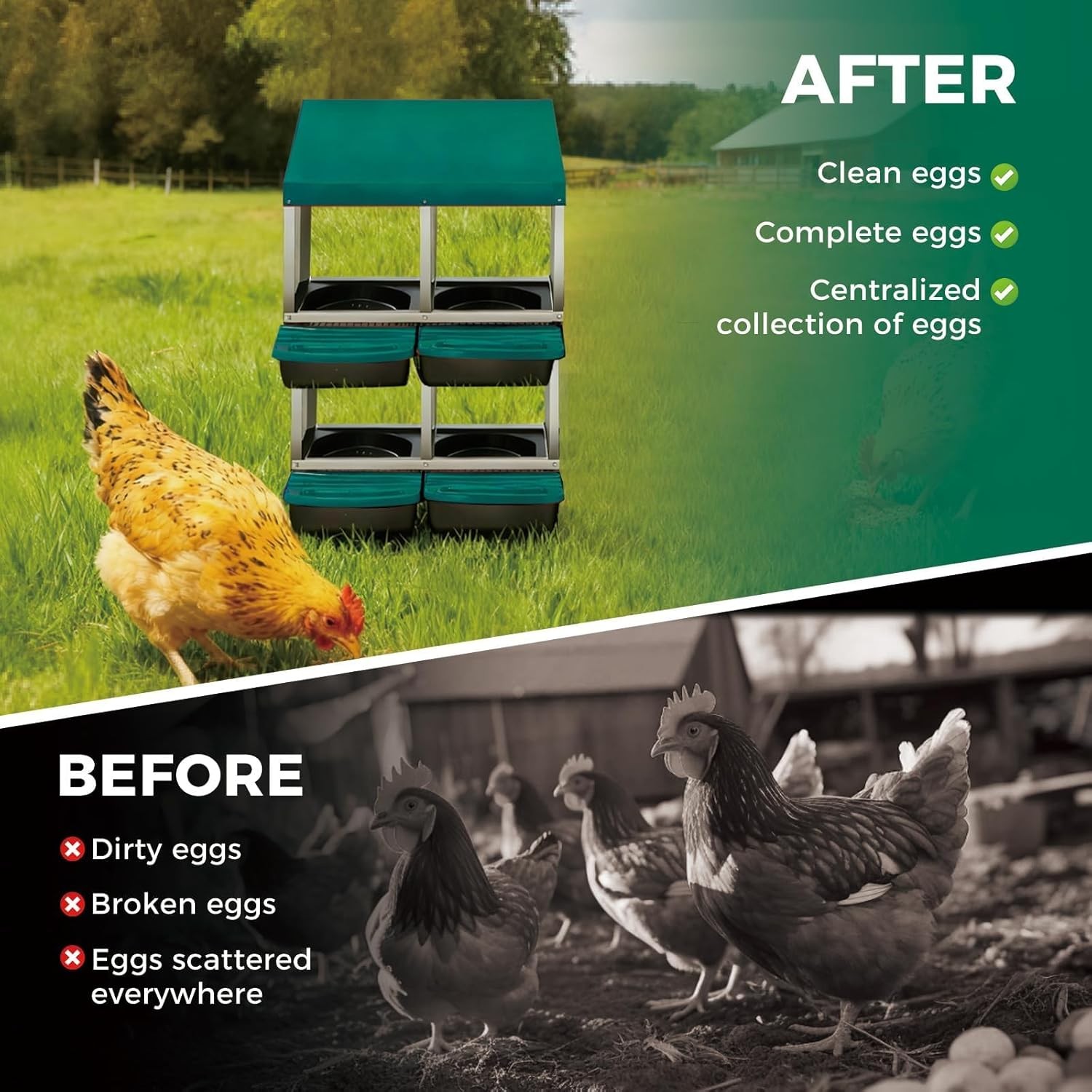 Chicken Nesting Box 4 Hole Hen Laying Box Roll Away Nesting Box for Laying Egg