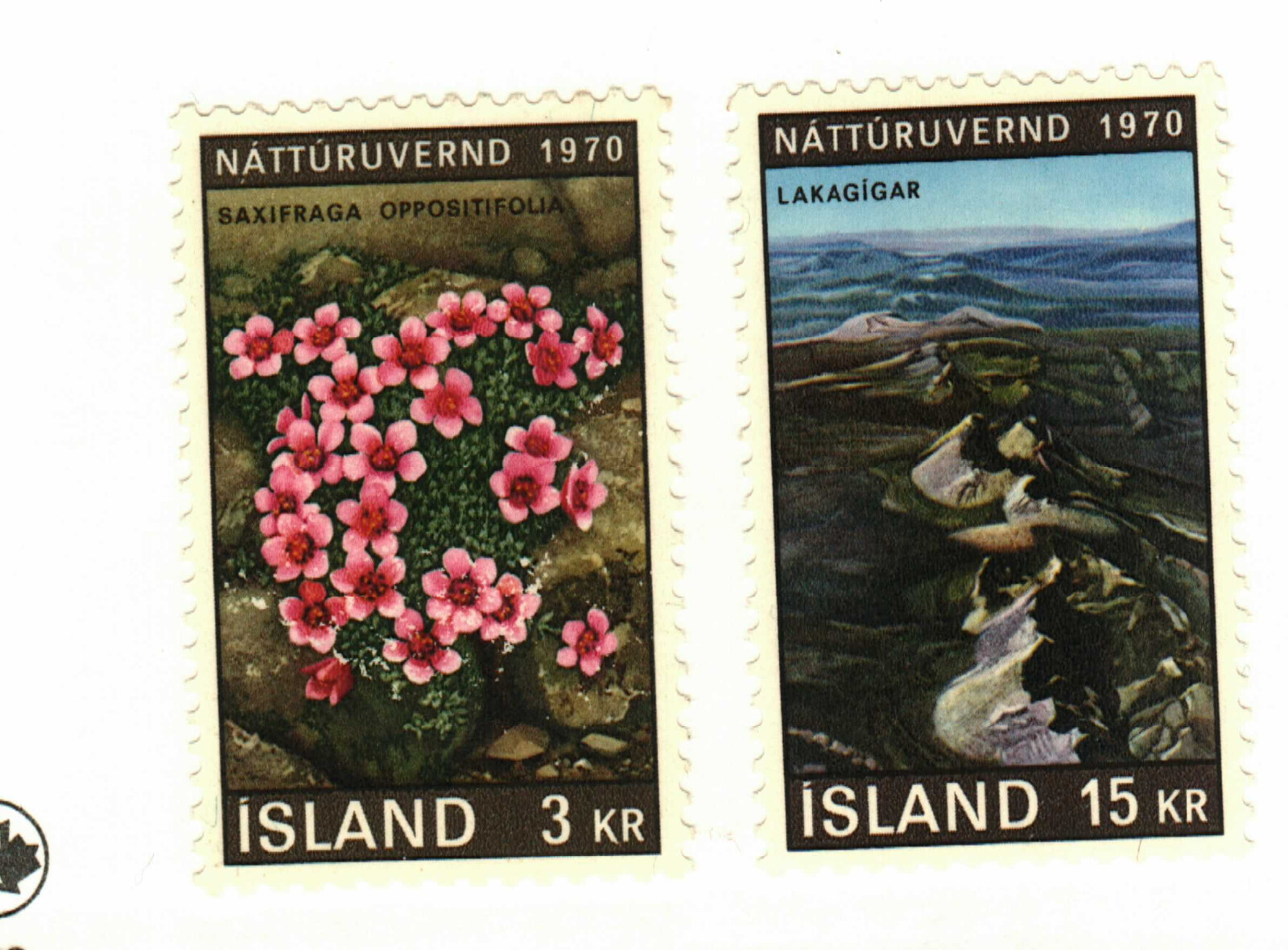 Iceland #425-6 MNH flowers