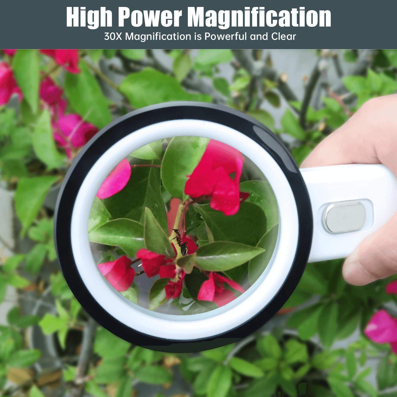 Jumbo Handheld Magnifying Glass w/ 12 Bright LED Light Illuminated 30X Magnifier