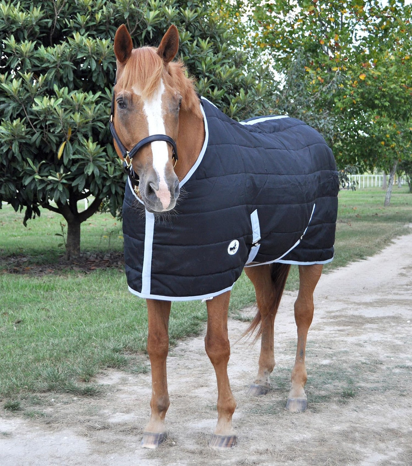 Jeffers Equine Closed Front Horse Stable Blanket, 72 Inch Warm Insulated Stall