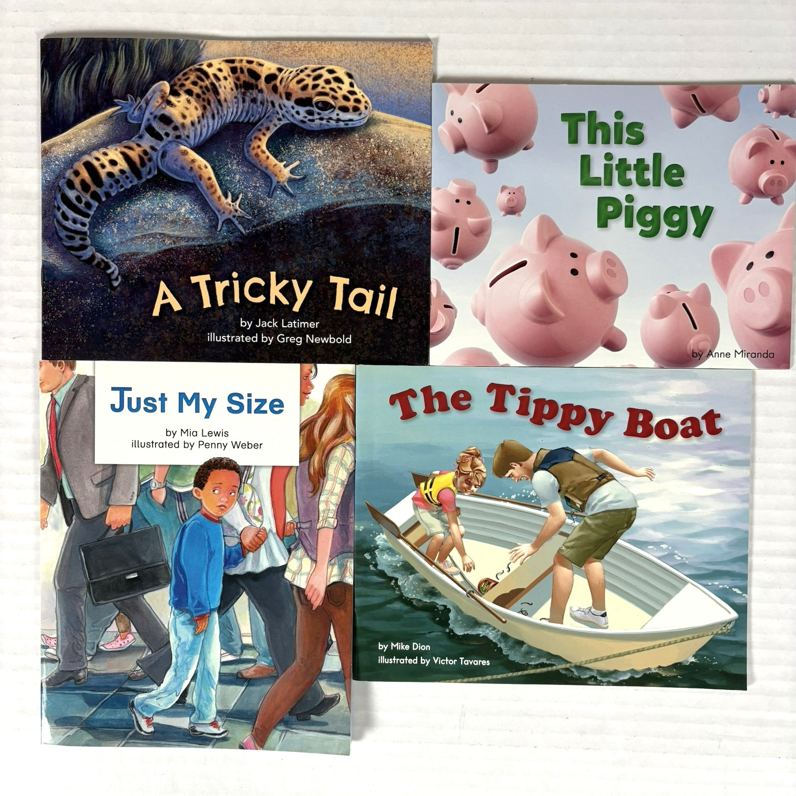 1st Grade Readers Multi-Level Reading Library #3 – 24 Homeschool Books