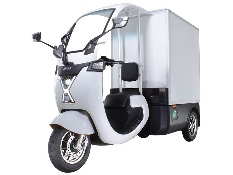 Roadmaster T-5000 Electric Cargo Delivery Scooter Truck Mobility Scooter Car EV