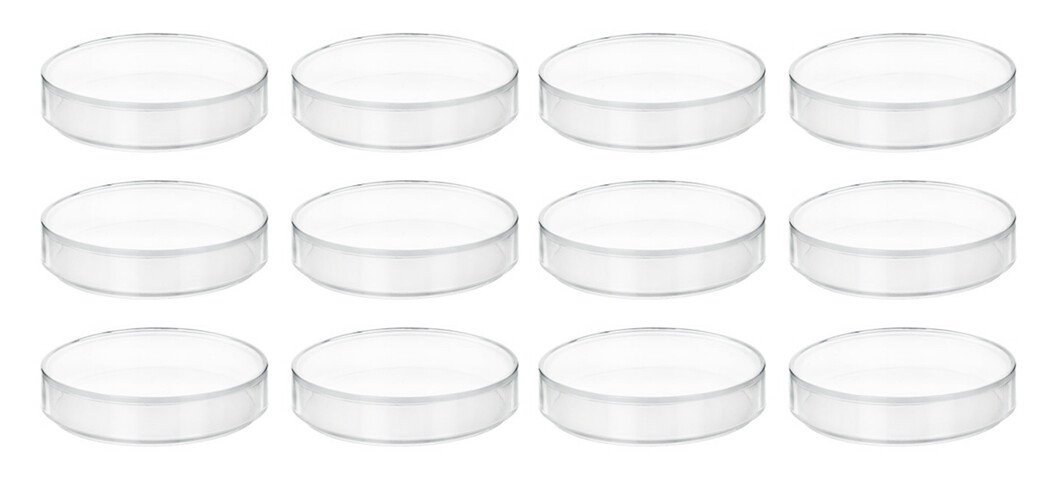 12PK Plastic Petri Dishes - 2.9" Dia., 0.5" Depth - Polypropylene - Eisco Labs