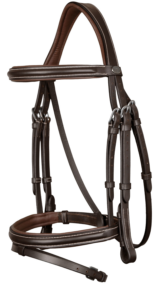 Dion Economy Bridle Headstall (Silver Buckle)