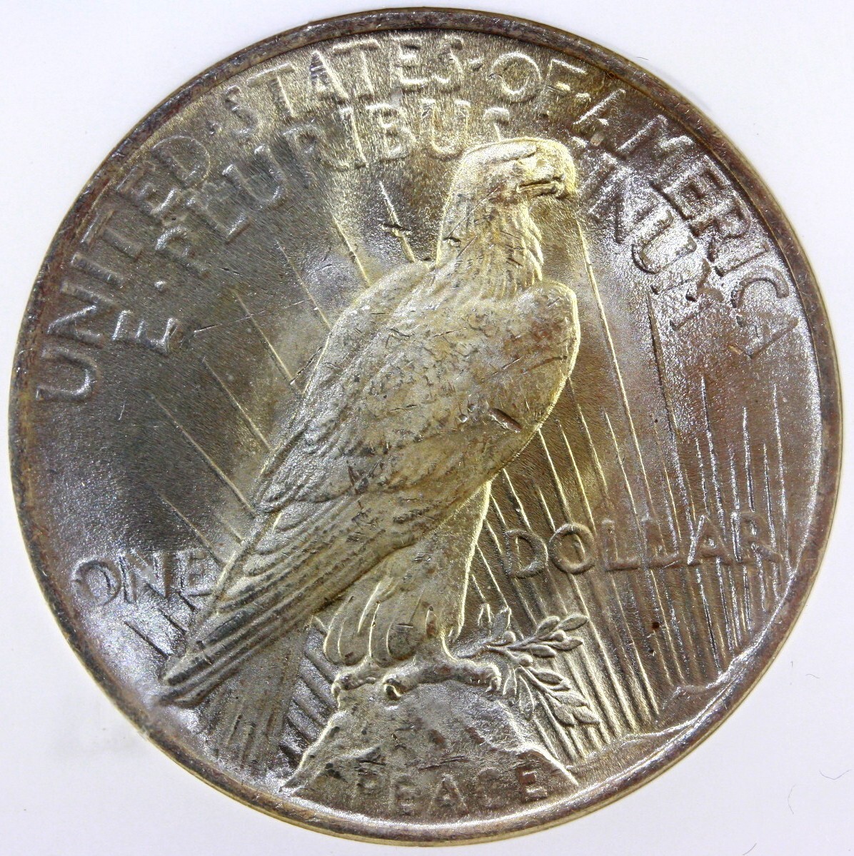 1923-P Peace Silver Dollar NGC MS64
