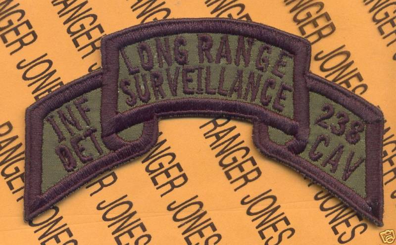 238 Cav Inf Det LRS Airborne Ranger 38 INDARNG patch C