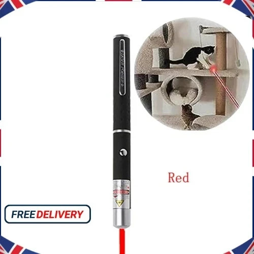 2in1 Cat Laser Pointer LED Keychain Toy Portable Pet Training Flashlight