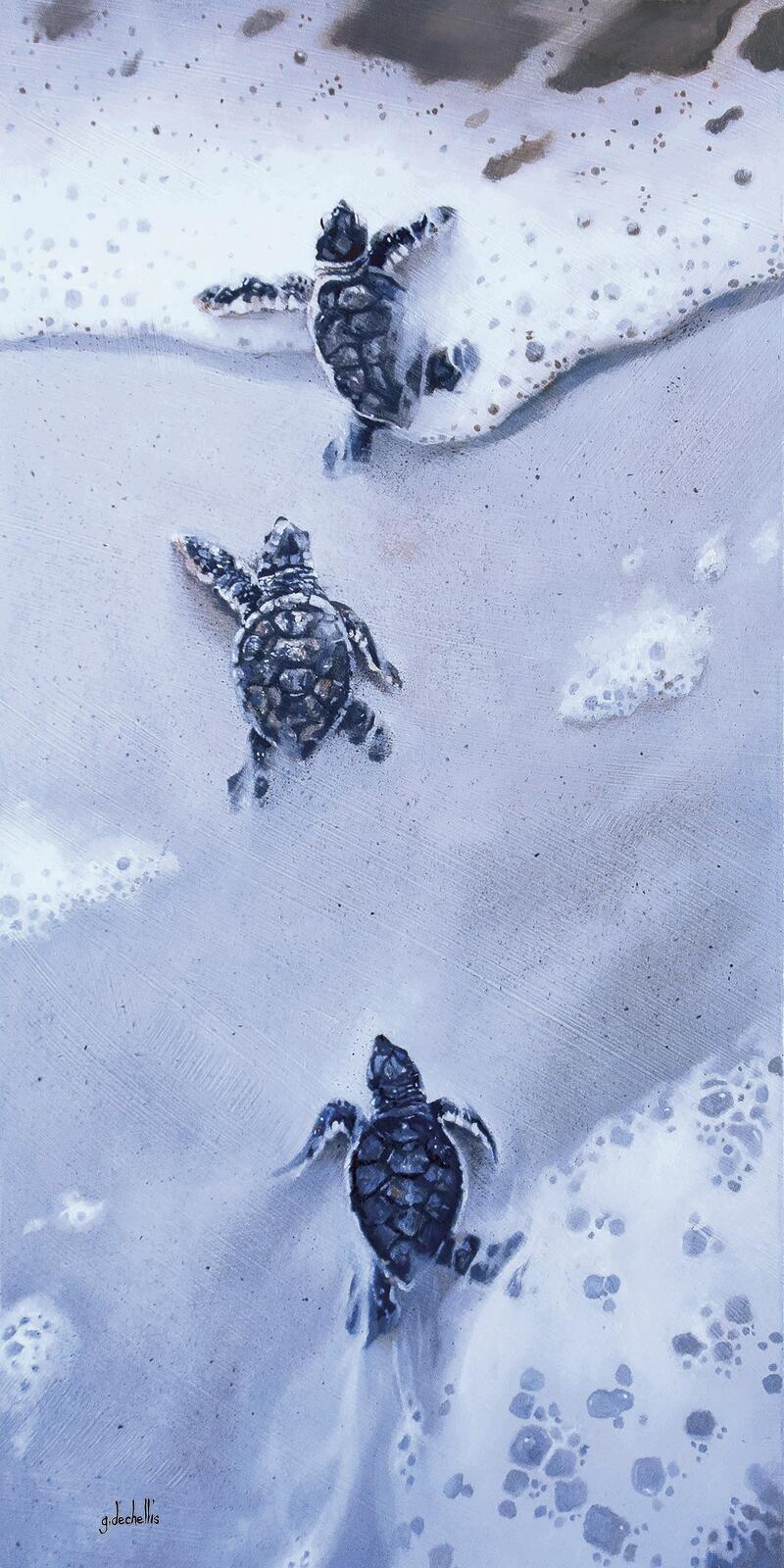 Ceramic Backsplash Tile Mural Sea Turtle Sea Ocean Life - Brave New World