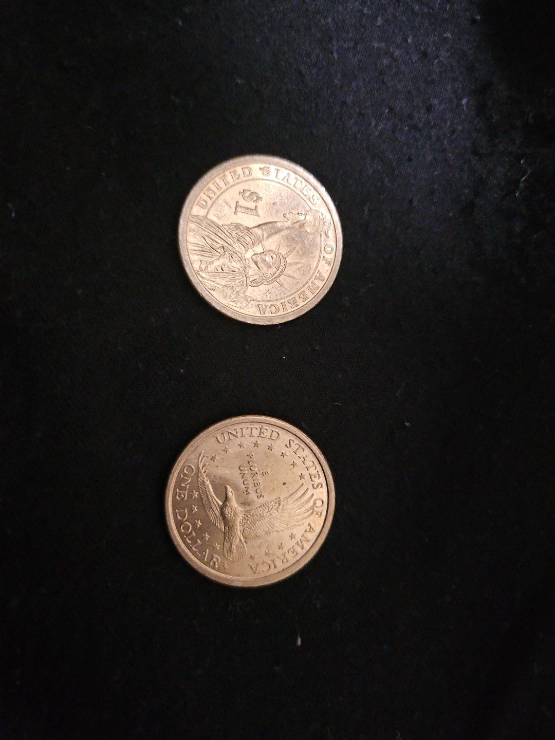 Sacagawea And Andrew Jackson Dollar Set