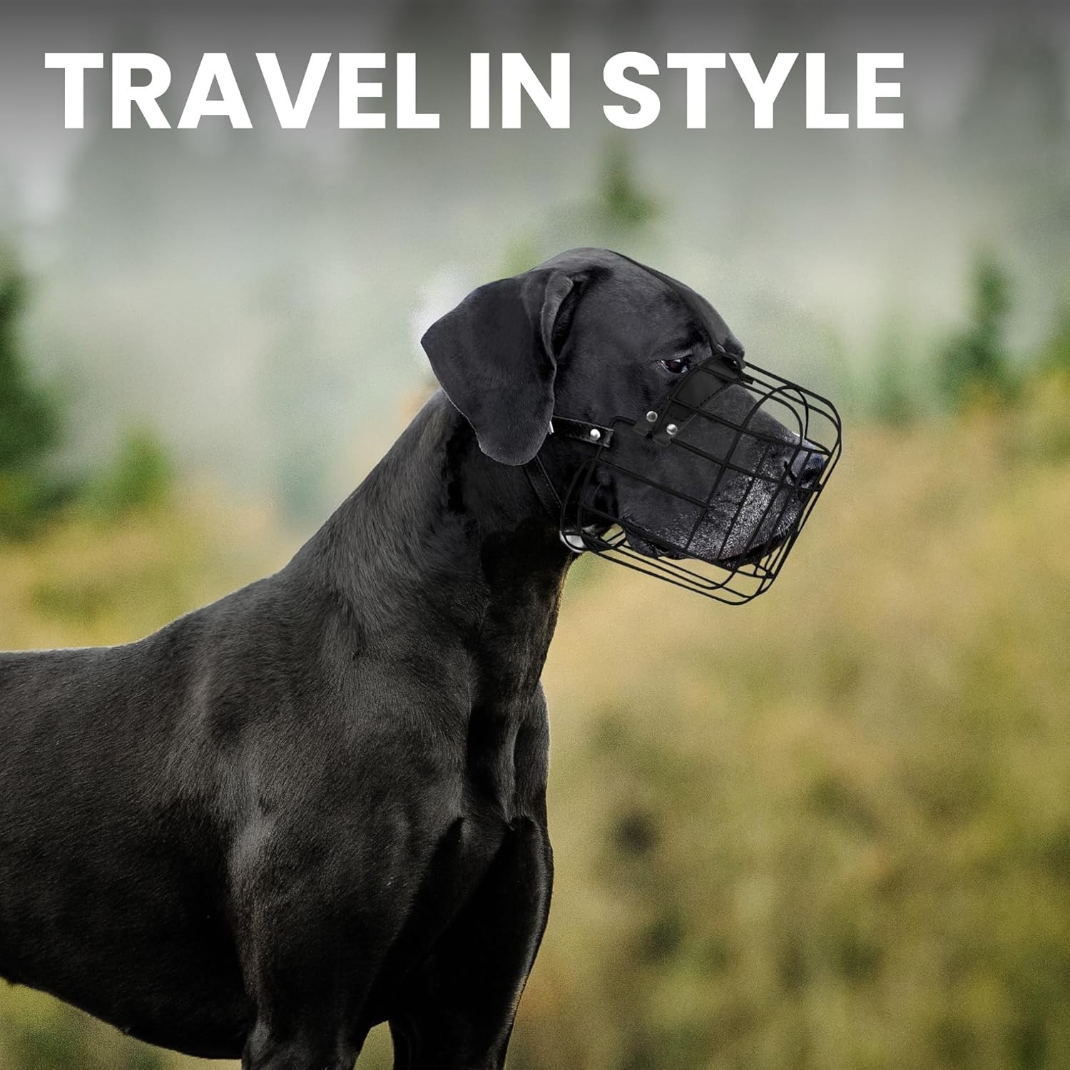 Safety First: Breathable Wire Basket Muzzle for Large Breeds with Adjustable Fit