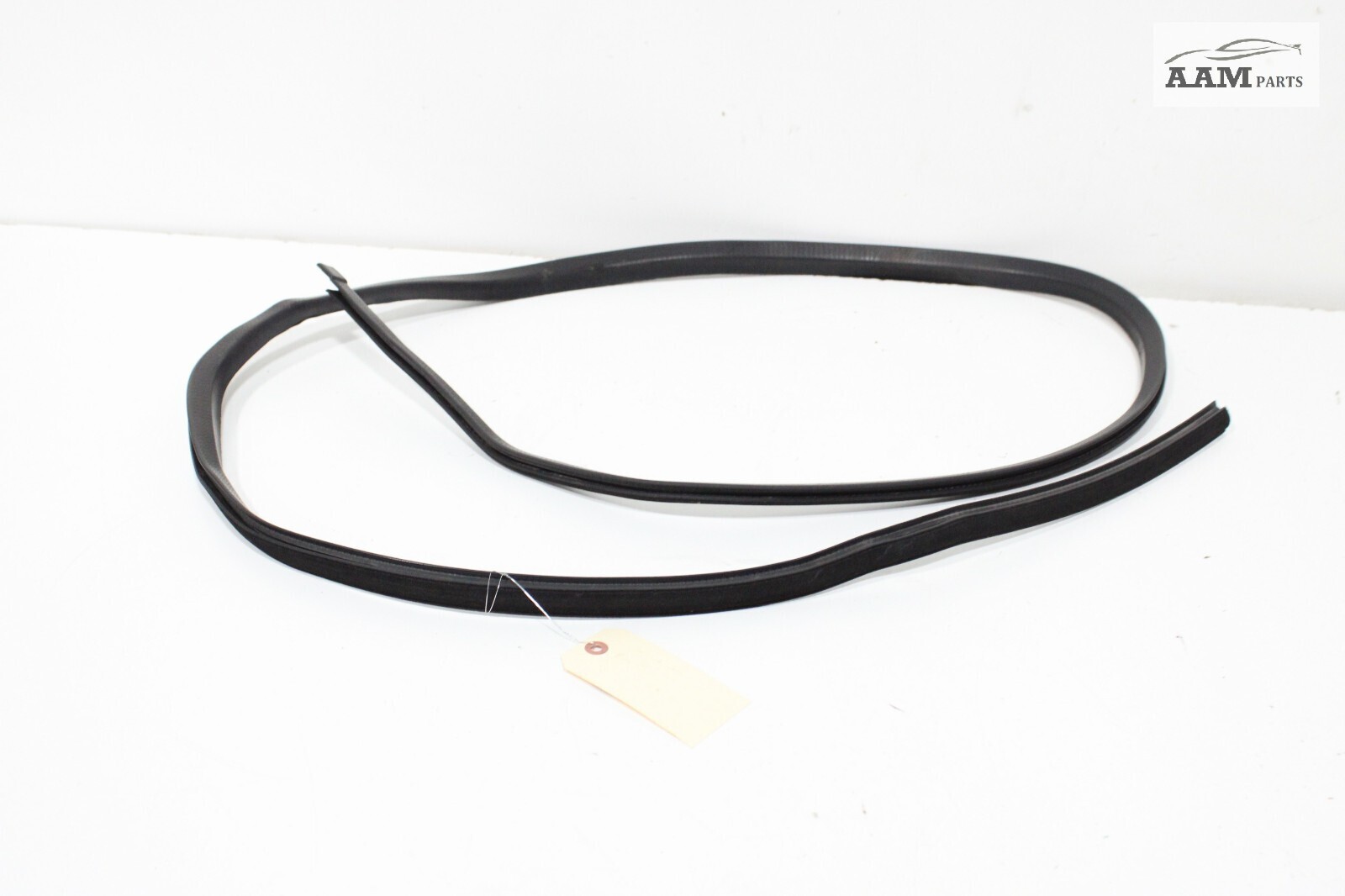 19-23 VOLVO VNL 760 FRONT RIGHT PASSENGER SIDE DOOR CAB WEATHERSTRIP SEAL OEM