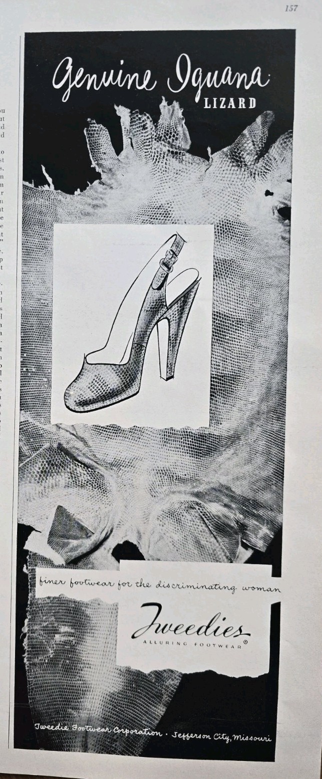 1948 Women's Tweedies genuine iguana lizard high heel shoes Vintage Fashion Ad