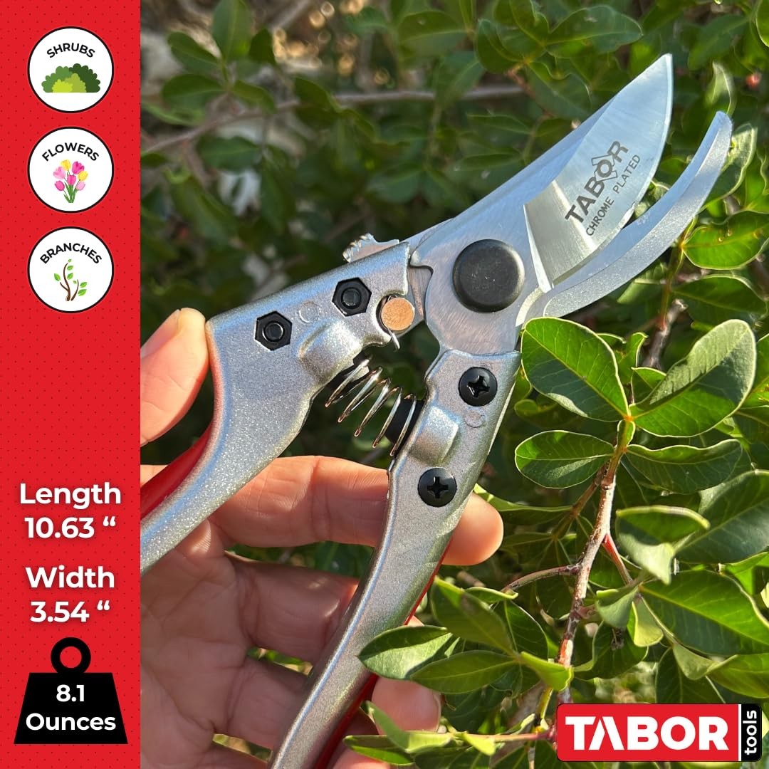 TABOR TOOLS S834A Bypass Pruning Shears, Makes Clean Cuts, Silver