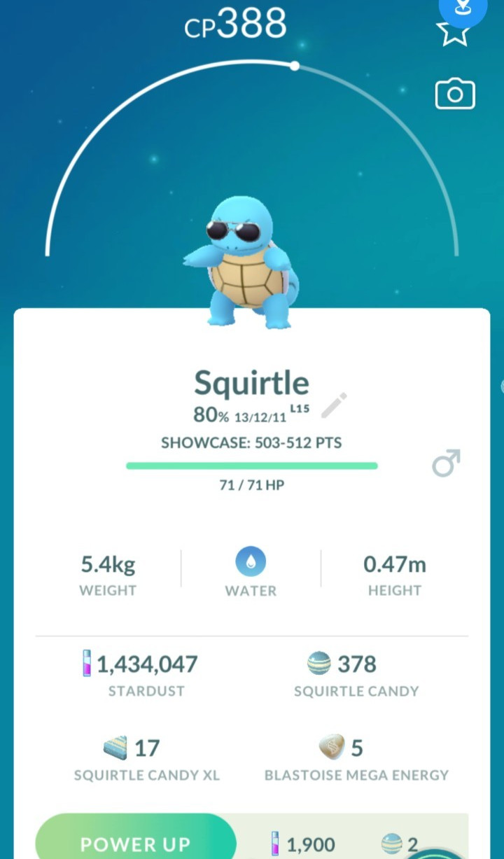 Pokemon Squirtle Squad Black Sunglasses (Not Shiny)