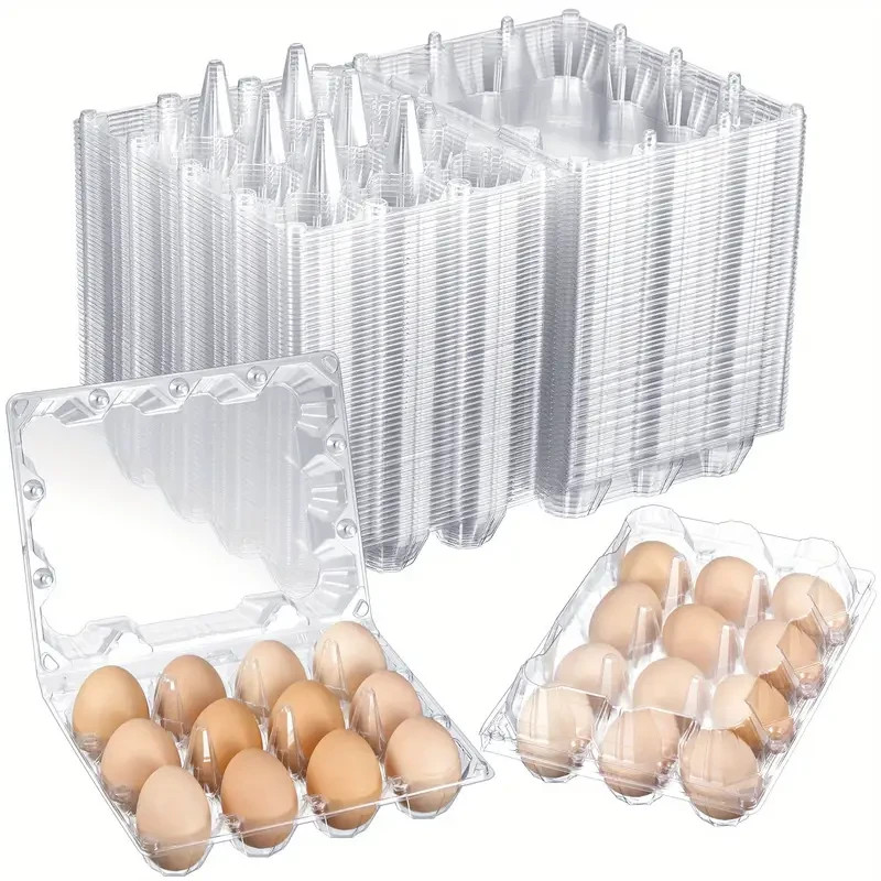50 Plastic 12  Eggs Cartons for  Dozen Chicken Clear Reusable Containers 12 eggs