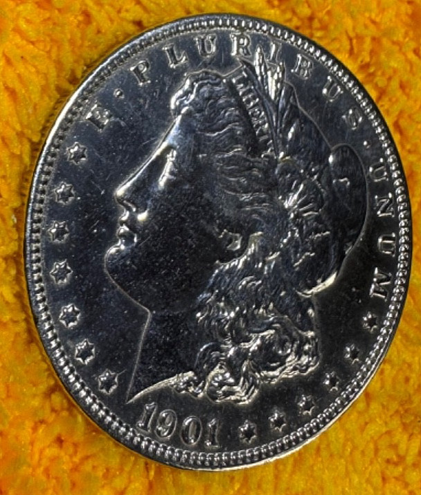 1901-O Morgan Silver Dollar Absolutely Super Fine Detail 7 Tail Feathers 603